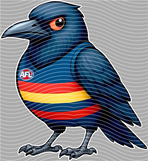 NBA and Team-QD 1402